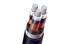 Cable
